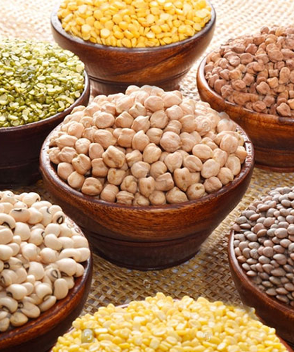 Besan manufacturer in delhi