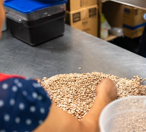 
Pulses manufacturers in Delhi